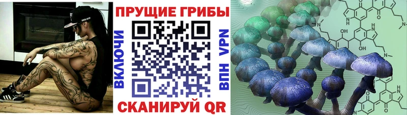 цены   МЕГА как войти  Псилоцибиновые грибы Psilocybe  Байкальск 